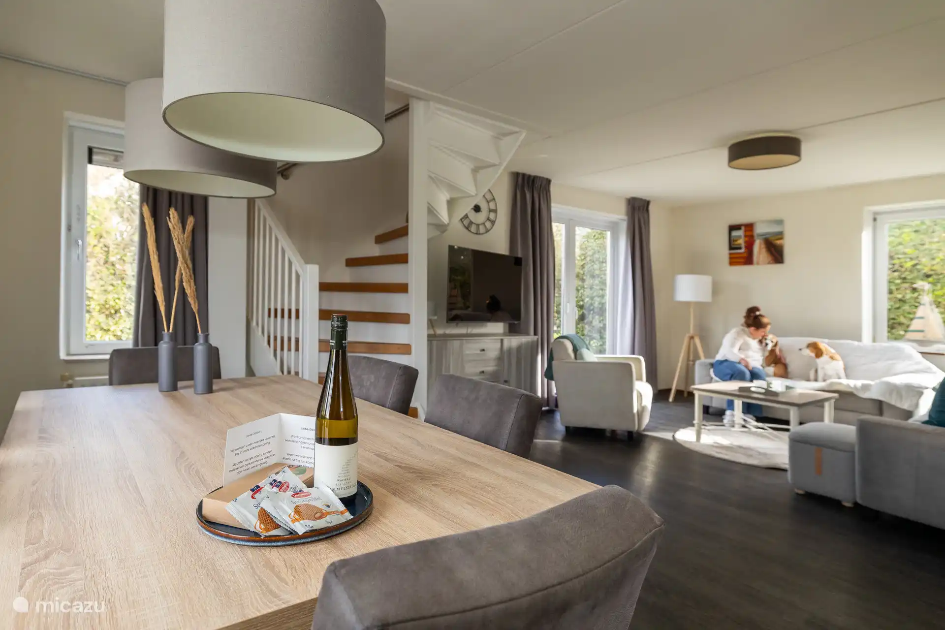 Salon avec beaucoup de lumière naturelle