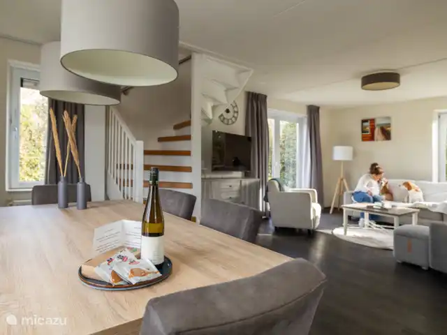 Maison de vacances Duindoorn 9  | Pays-Bas, Zélande, Kamperland - maison de vacances Salon avec beaucoup de lumière naturelle