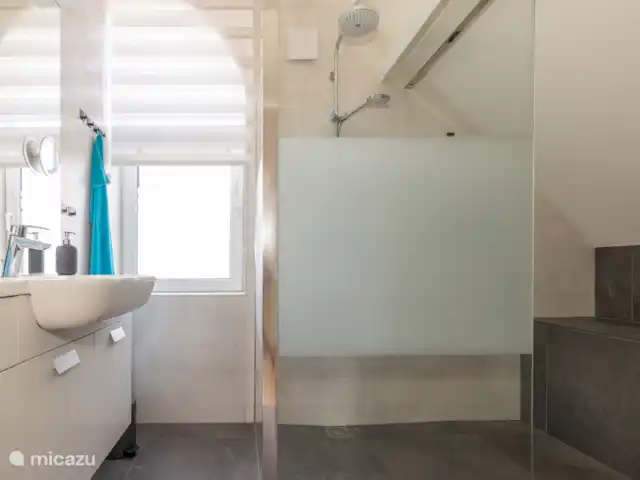Maison de vacances Duindoorn 9  | Pays-Bas, Zélande, Kamperland - maison de vacances Salle de bain avec belle douche et toilettes.