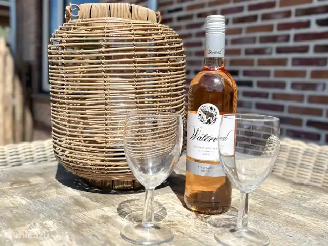 Brise des dunes | Pays-Bas, Hollande du Nord, Schoorl - maison de vacances Détail photo terrasse