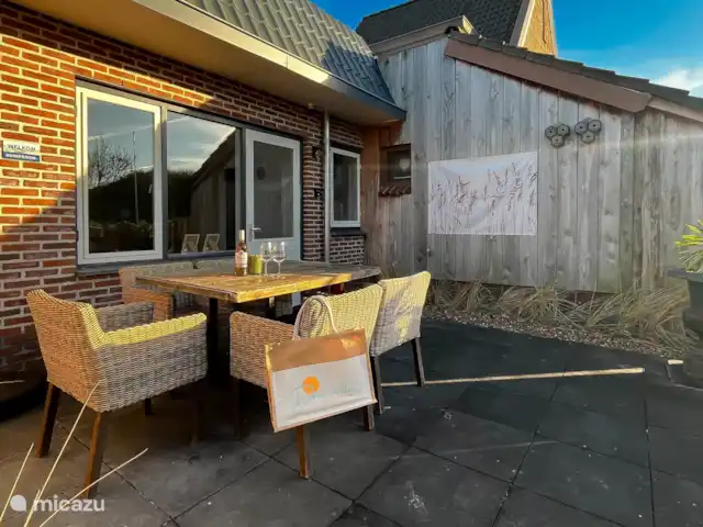 Rêve de dune | Pays-Bas, Hollande du Nord, Schoorl - maison de vacances Façade de la maison de vacances