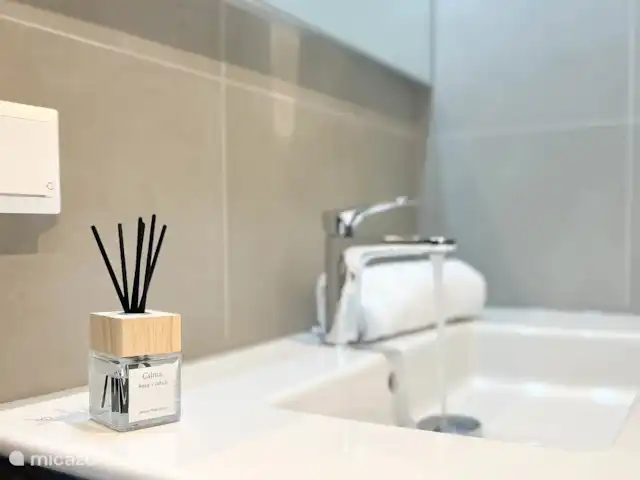 Rêve de dune | Pays-Bas, Hollande du Nord, Schoorl - maison de vacances Photo de détail salle de bain
