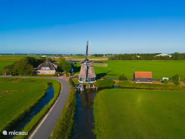 Lumière des dunes | Pays-Bas, Hollande du Nord, Schoorl - maison de vacances Environnement