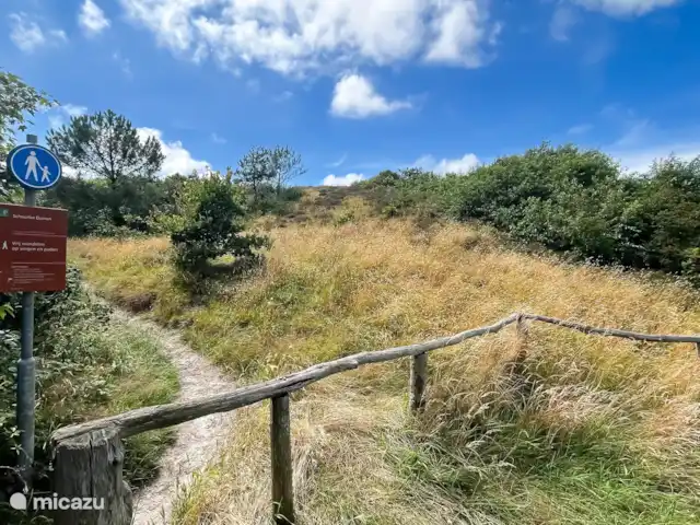 Lumière des dunes | Pays-Bas, Hollande du Nord, Schoorl - maison de vacances Environnement