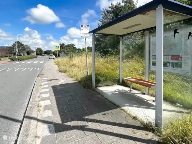 Lumière des dunes | Pays-Bas, Hollande du Nord, Schoorl - maison de vacances Alentours - arrêt de bus