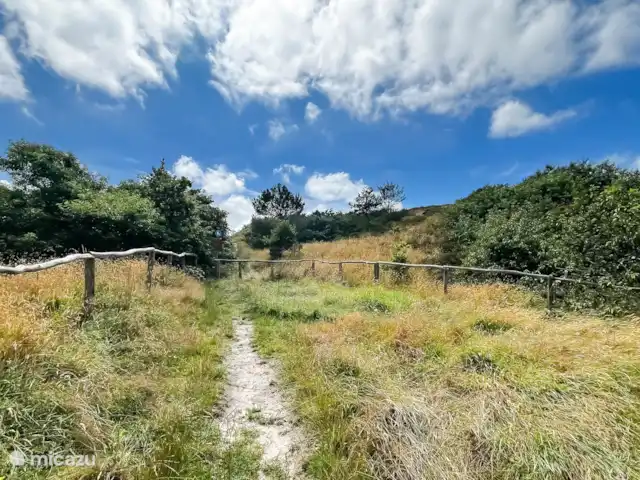 Duinzicht huren in Nederland, Noord-Holland, Schoorl - vakantiehuis Omgeving