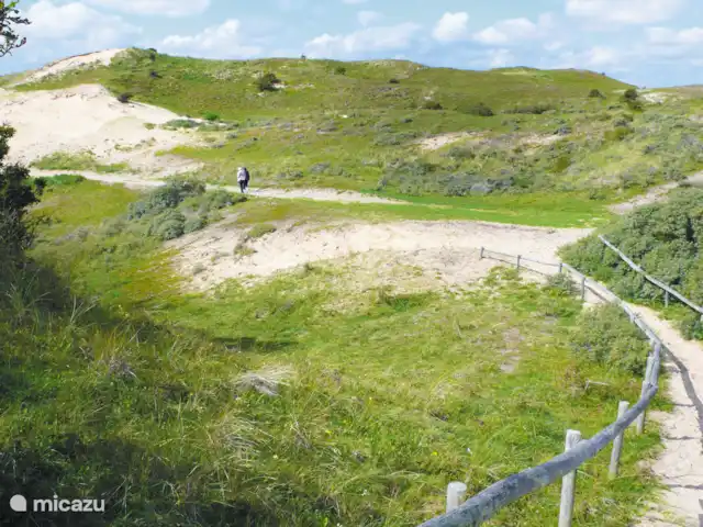 La Châtelaine 1 | Pays-Bas, Hollande du Nord, Egmond aan Zee - maison de vacances Environnement