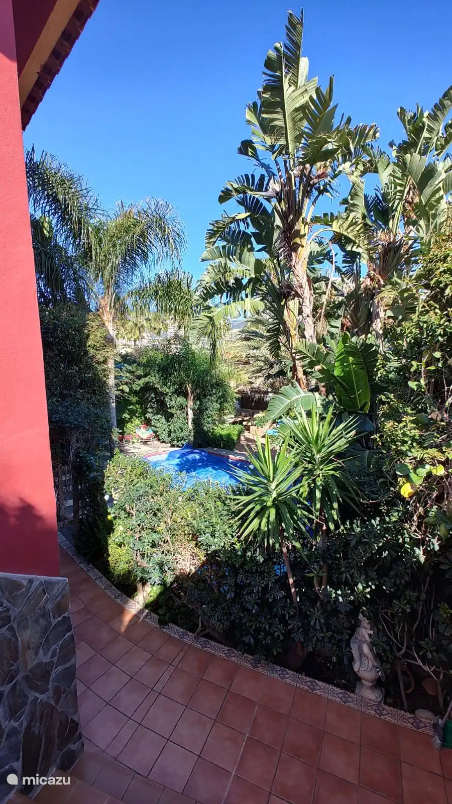 Tropical secluded garden