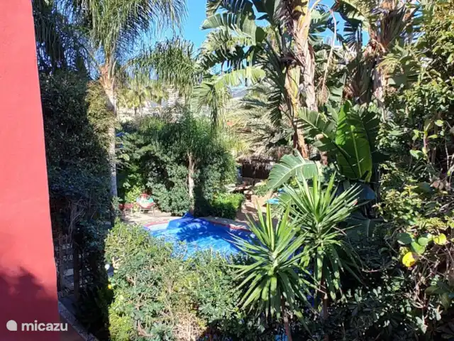 Location de Vacances Espagne, Costa del Sol, Benalmádena, villa - Plage à 2 min à pied + piscine chauffée + jacuzzi Jardin tropical isolé