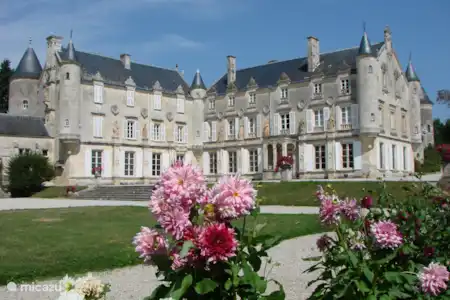 Chateau de Terre Neuve