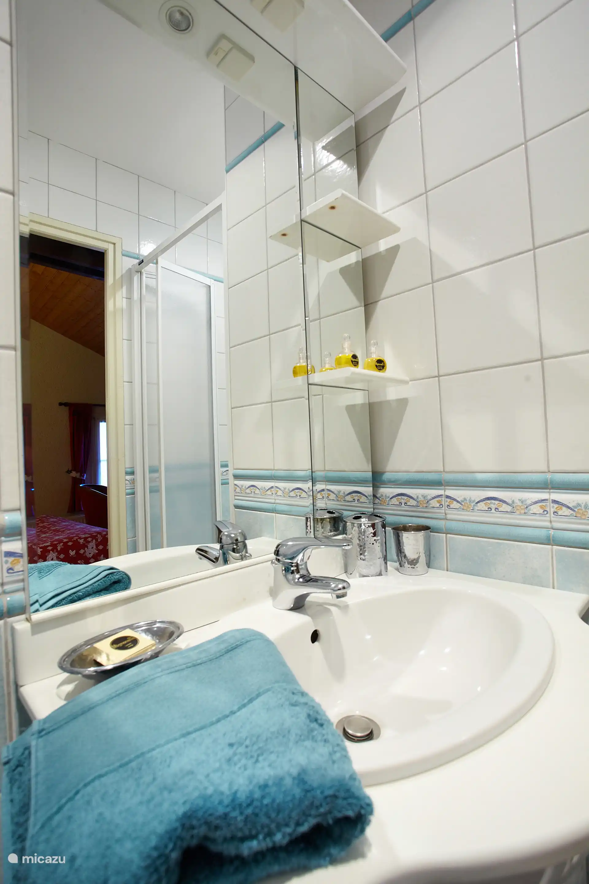 Duschbad im Hauptschlafzimmer