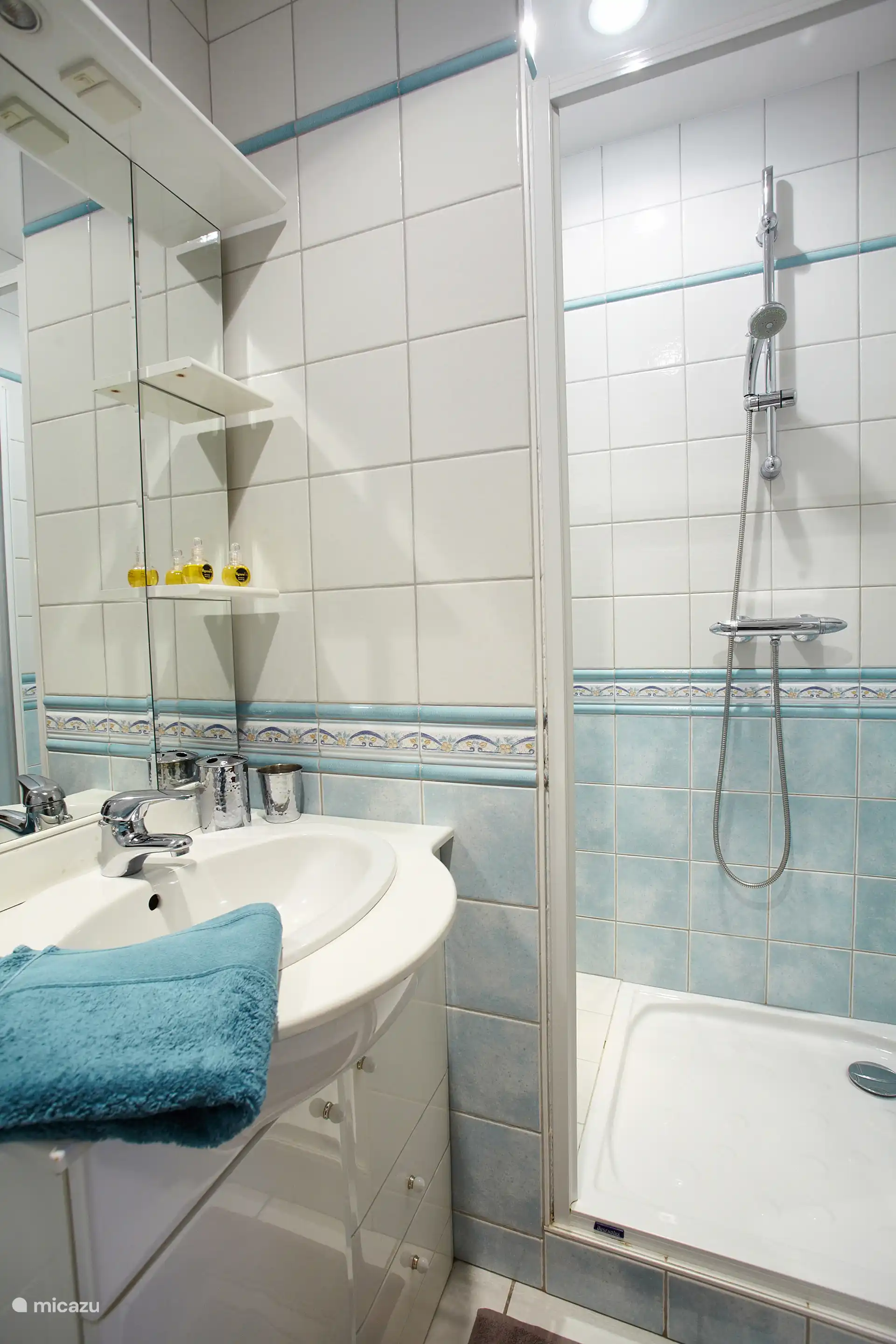 Duschbad im Hauptschlafzimmer