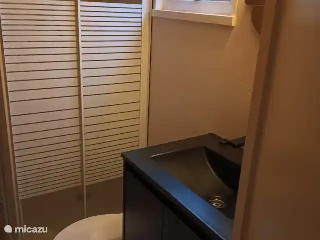 Brezo 1 en Países Bajos, Güeldres, Epe - chalet