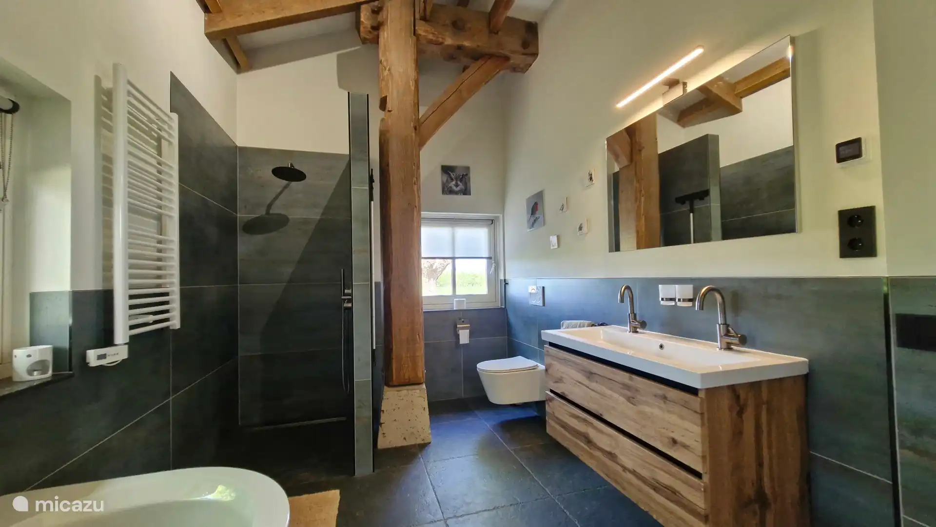 Complete bathroom with walk-in shower, large bath, sink (hair dryer) and 2nd toilet.