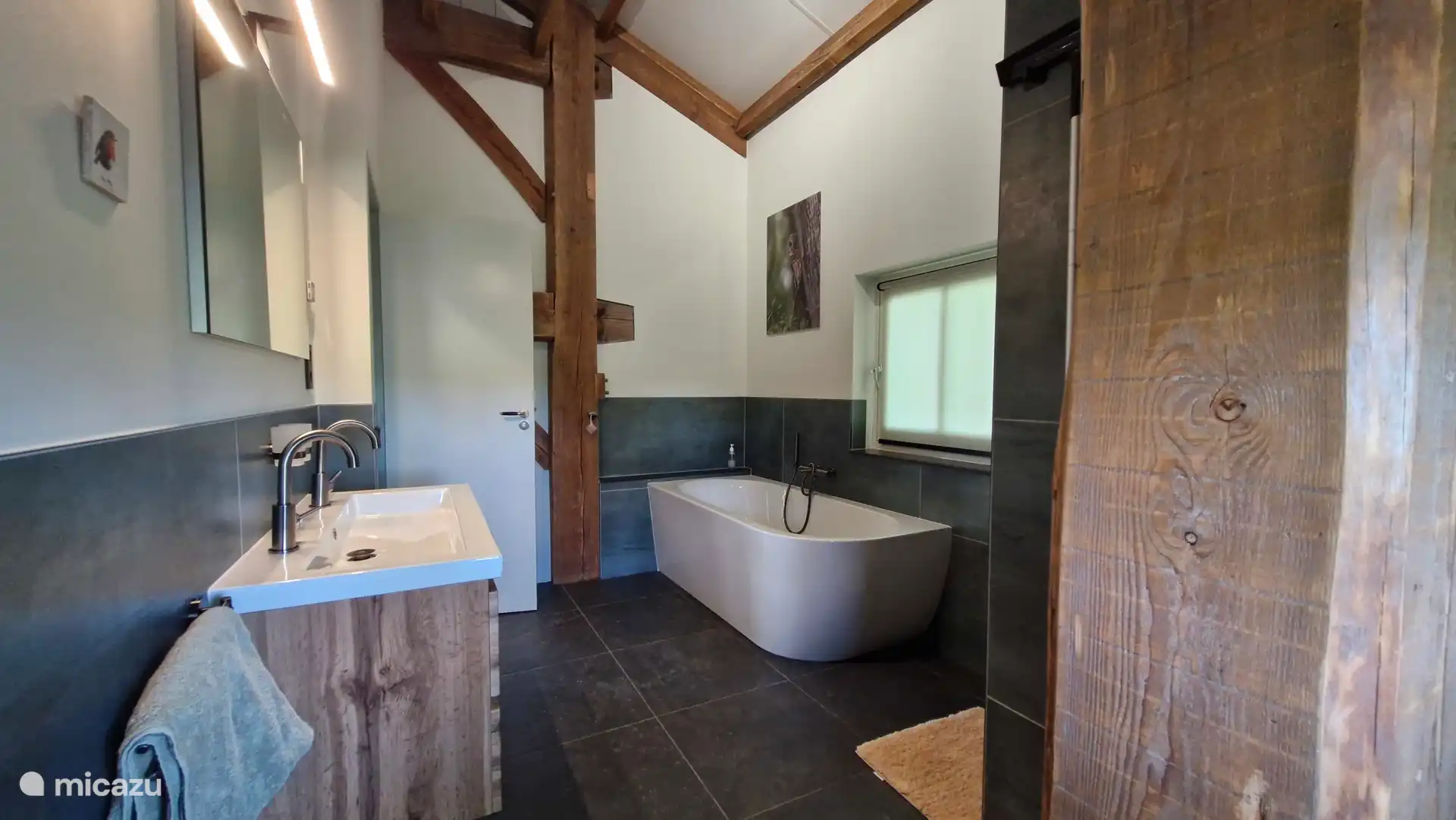 Complete bathroom with walk-in shower, large bath, sink (hair dryer) and 2nd toilet.