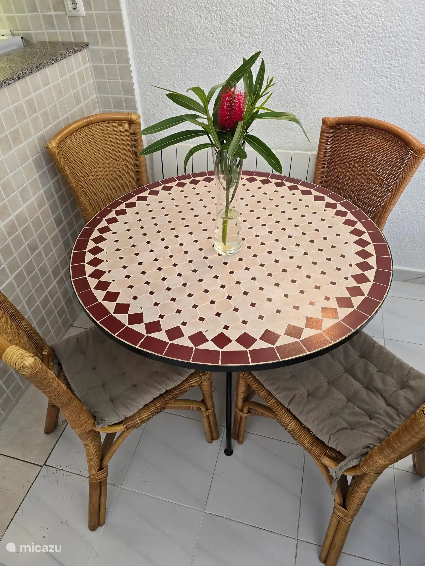 Bunte Pflanzen immer und überall