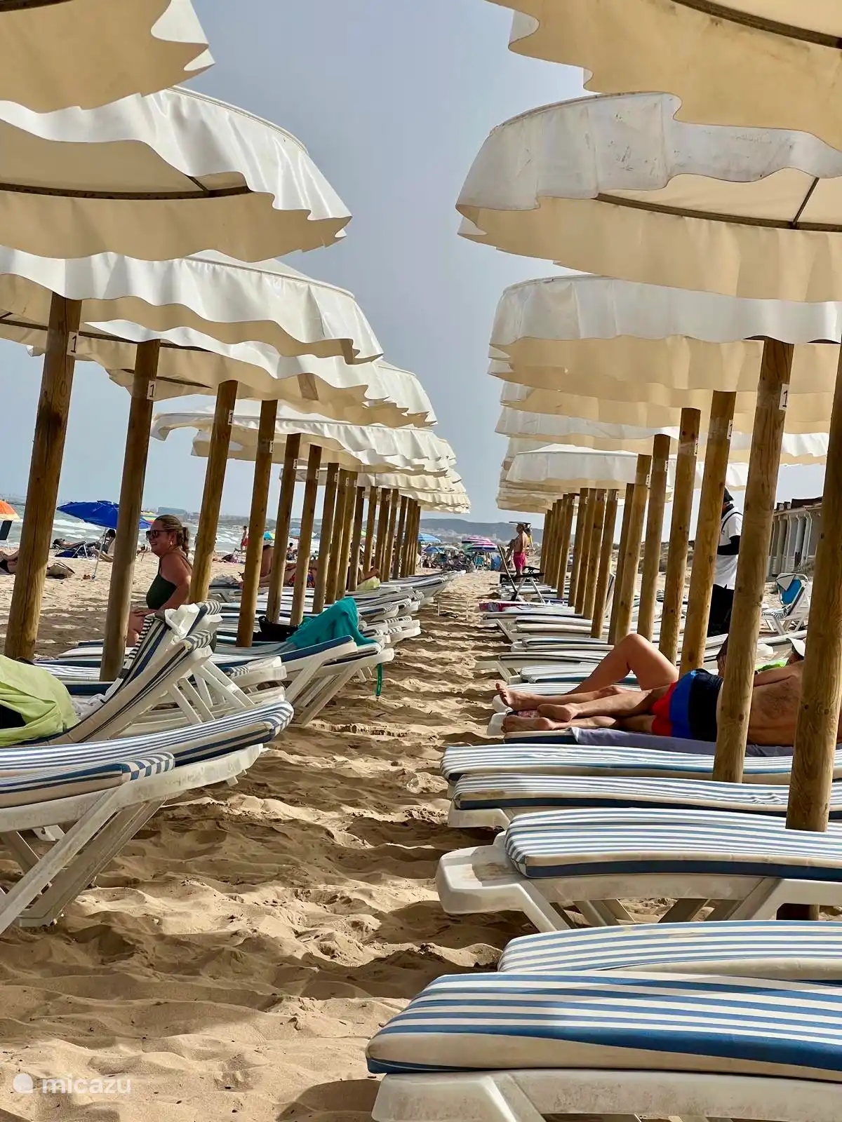 Die Sonnenliegen am Strand