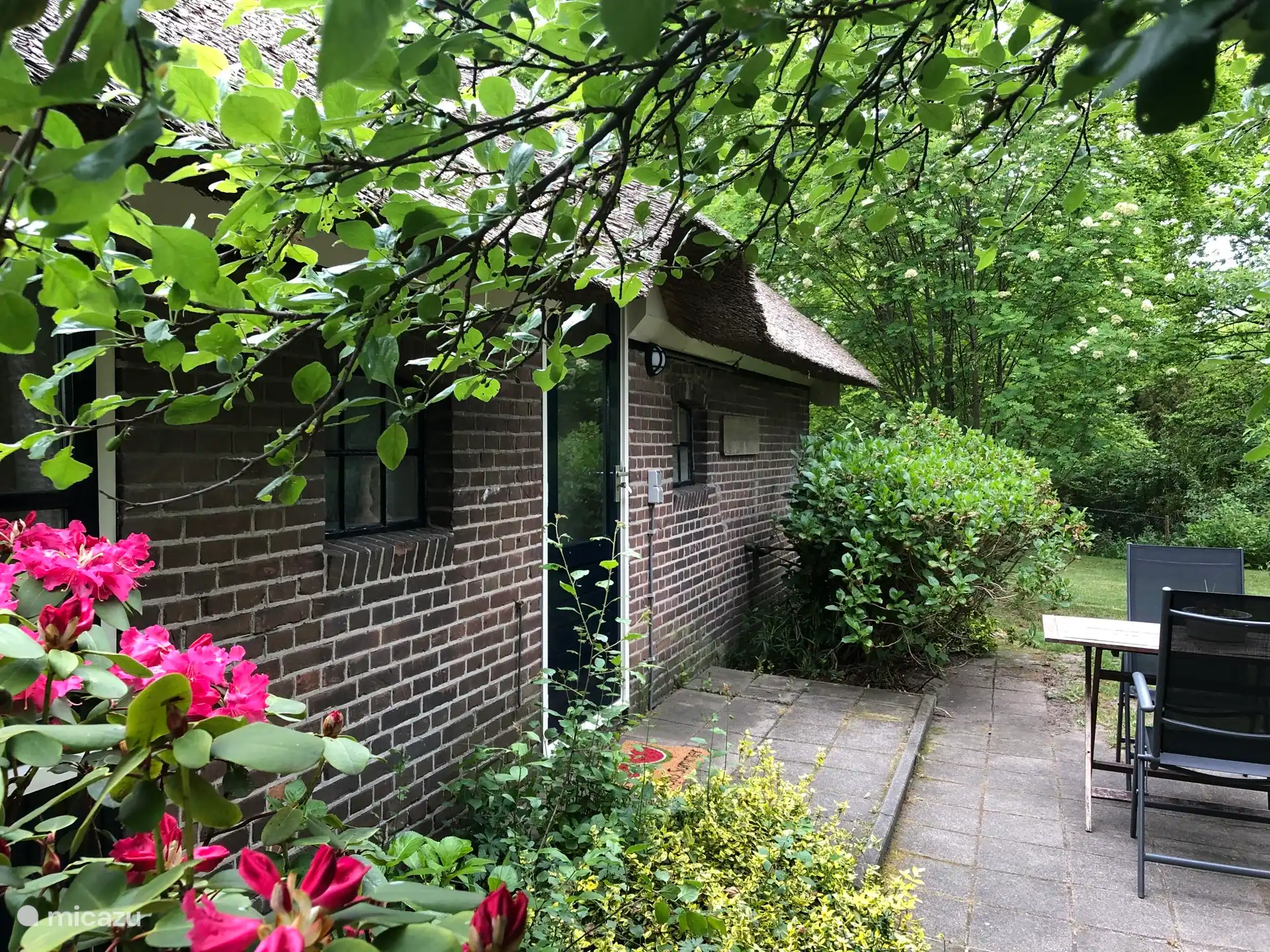 vakantiehuis huren in Balkbrug, Overijssel, Nederland - Vakantiehuisje Reestdal