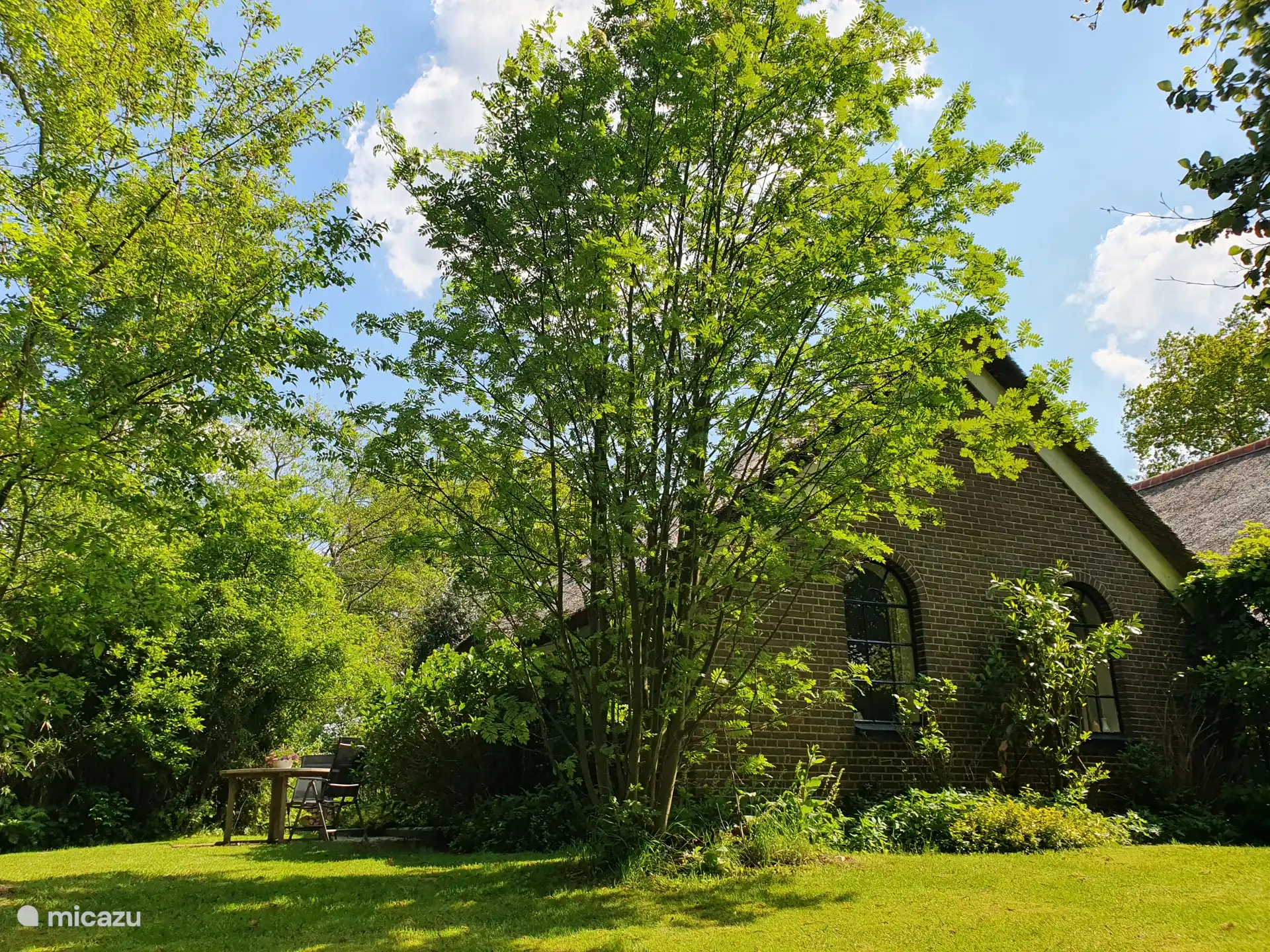 Blick auf das Ferienhaus vom Garten aus.