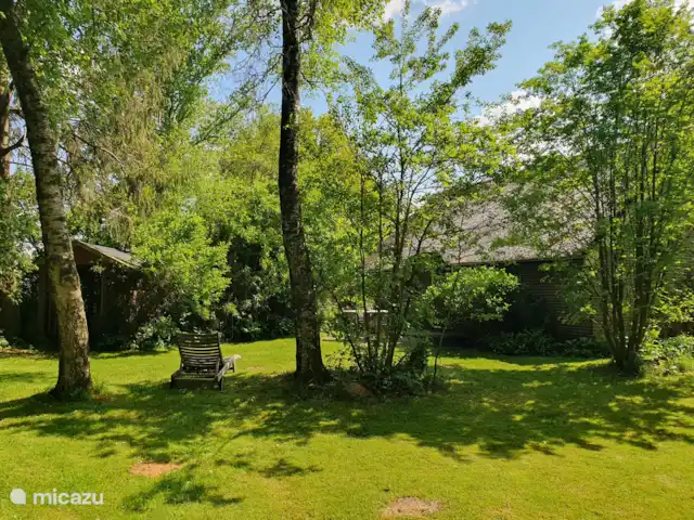 casa vacacional en Países Bajos, Overijssel, Balkbrug – Casa de vacaciones Reestdal El amplio jardín de la casa