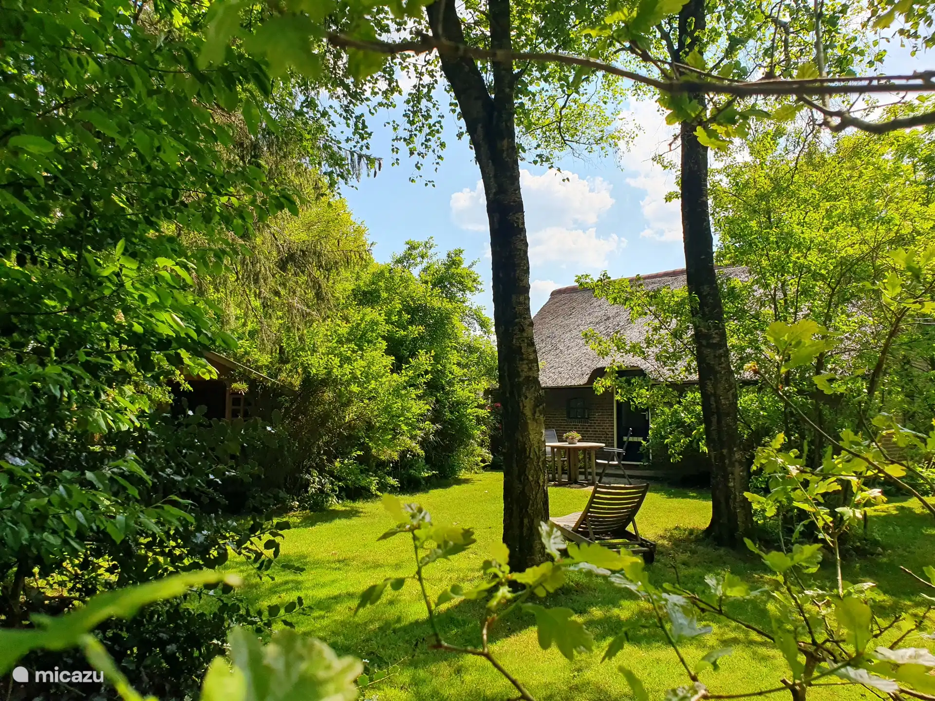 Garten mit Blick auf das Ferienhaus