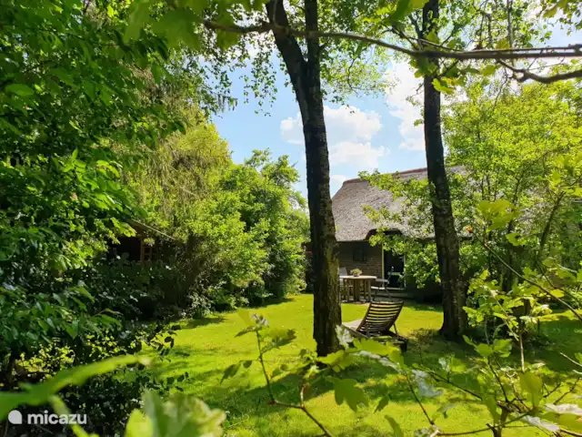 casa vacacional en Países Bajos, Overijssel, Balkbrug – Casa de vacaciones Reestdal Jardín con vistas a la cabaña