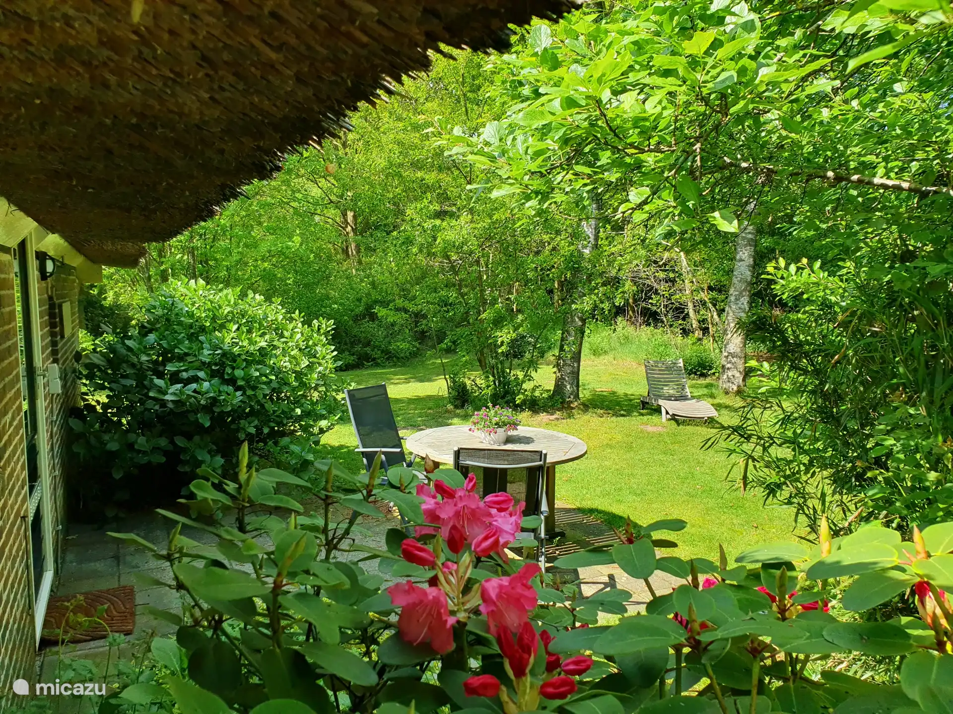 Blick auf die Terrasse