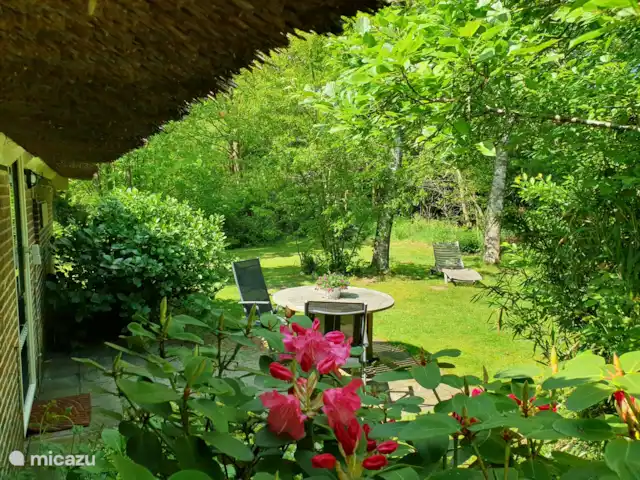 casa vacacional en Países Bajos, Overijssel, Balkbrug – Casa de vacaciones Reestdal Vista de la terraza