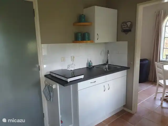 casa vacacional en Países Bajos, Overijssel, Balkbrug – Casa de vacaciones Reestdal La cocina americana