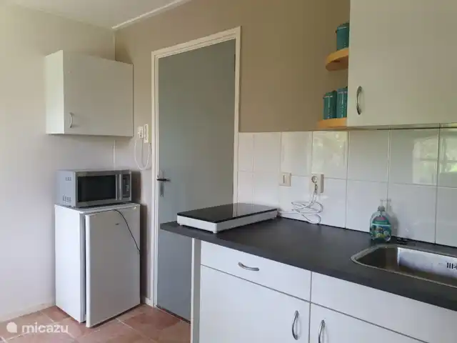 casa vacacional en Países Bajos, Overijssel, Balkbrug – Casa de vacaciones Reestdal La cocina americana