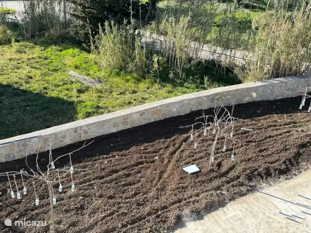 Location de Vacances Grèce, Grèce centrale, Paleros, pension / maison d’hôtes / chambre privée - Vassiliki Jardin