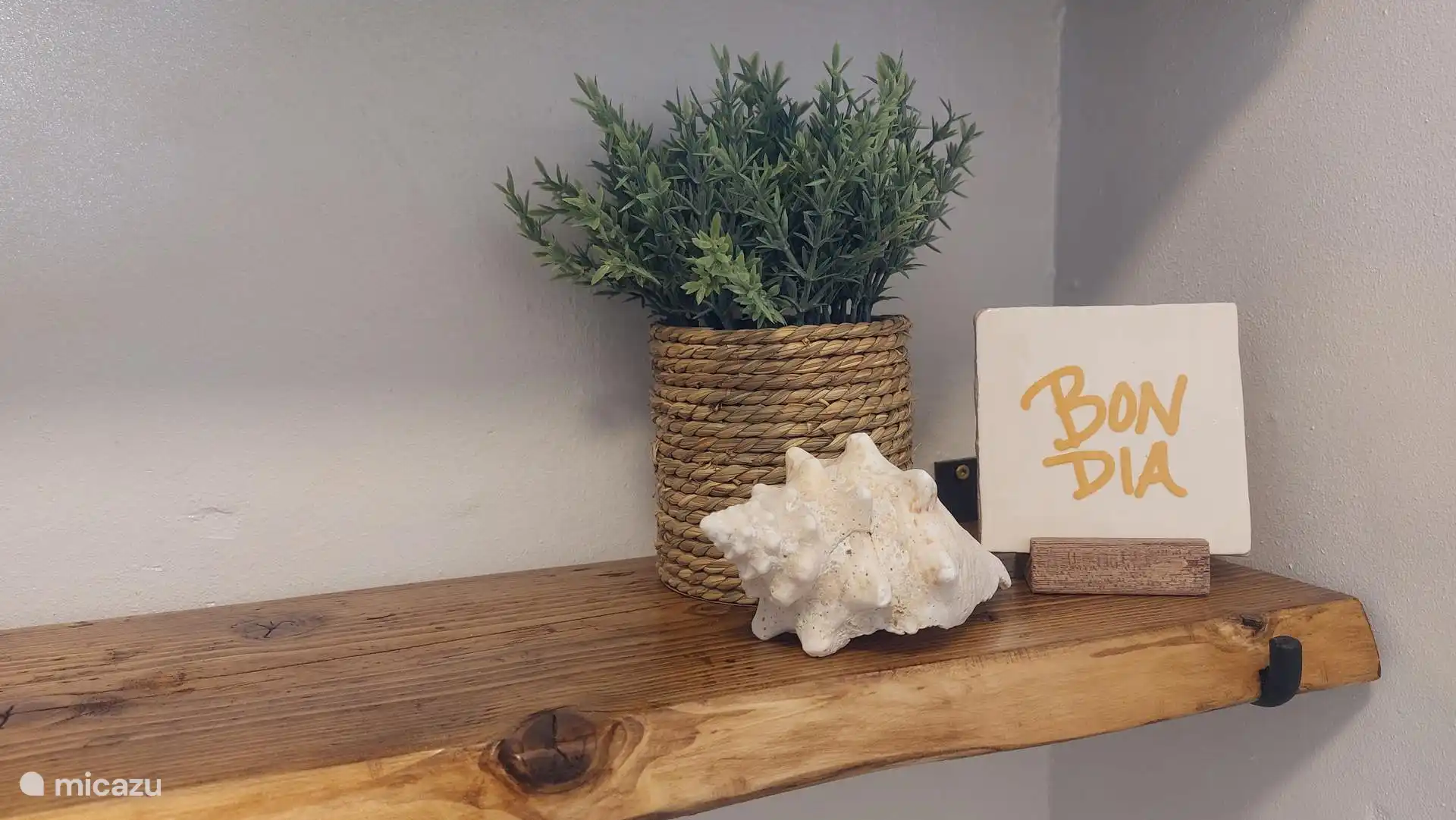 Bon dia! -Good morning!  
In Palapa Sea View, every morning is a good morning ?? 