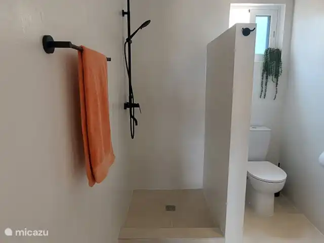 Palapa Sea View huren in Curaçao, Banda Abou (west), Fontein - appartement Moderne badkamer met regendouche