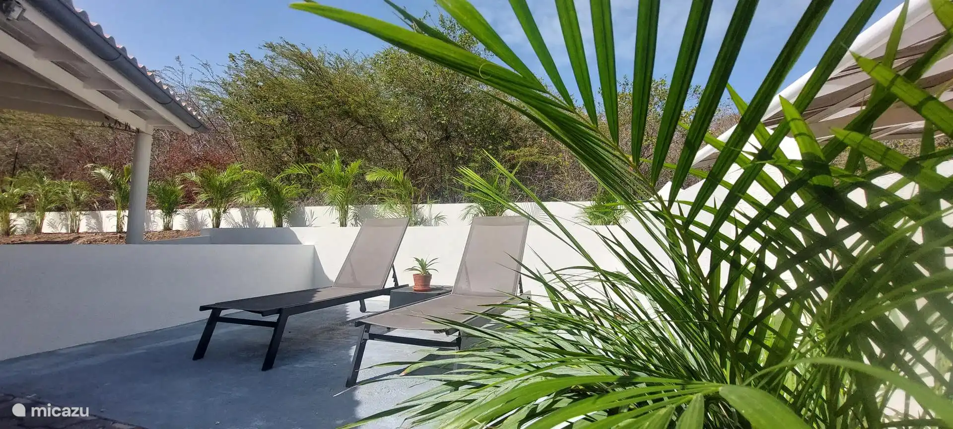 Relax on one of the sunbeds by the outdoor shower