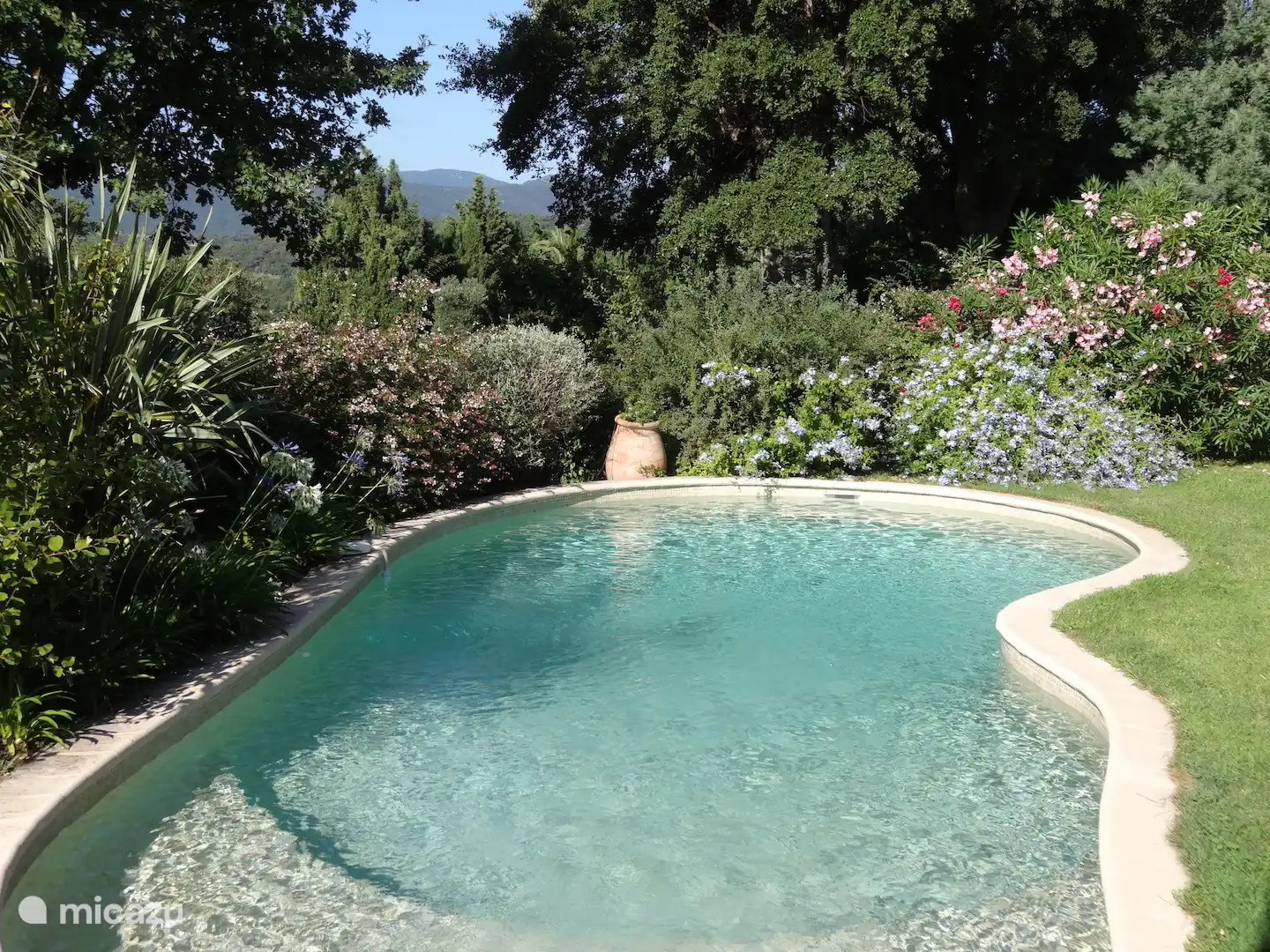 Piscine et jardin