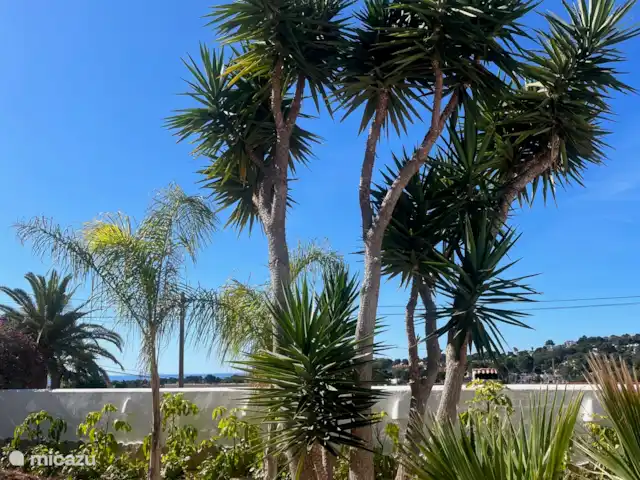 Casa Estrella | Espagne, Costa Blanca, Moraira - villa Yucas dans le jardin