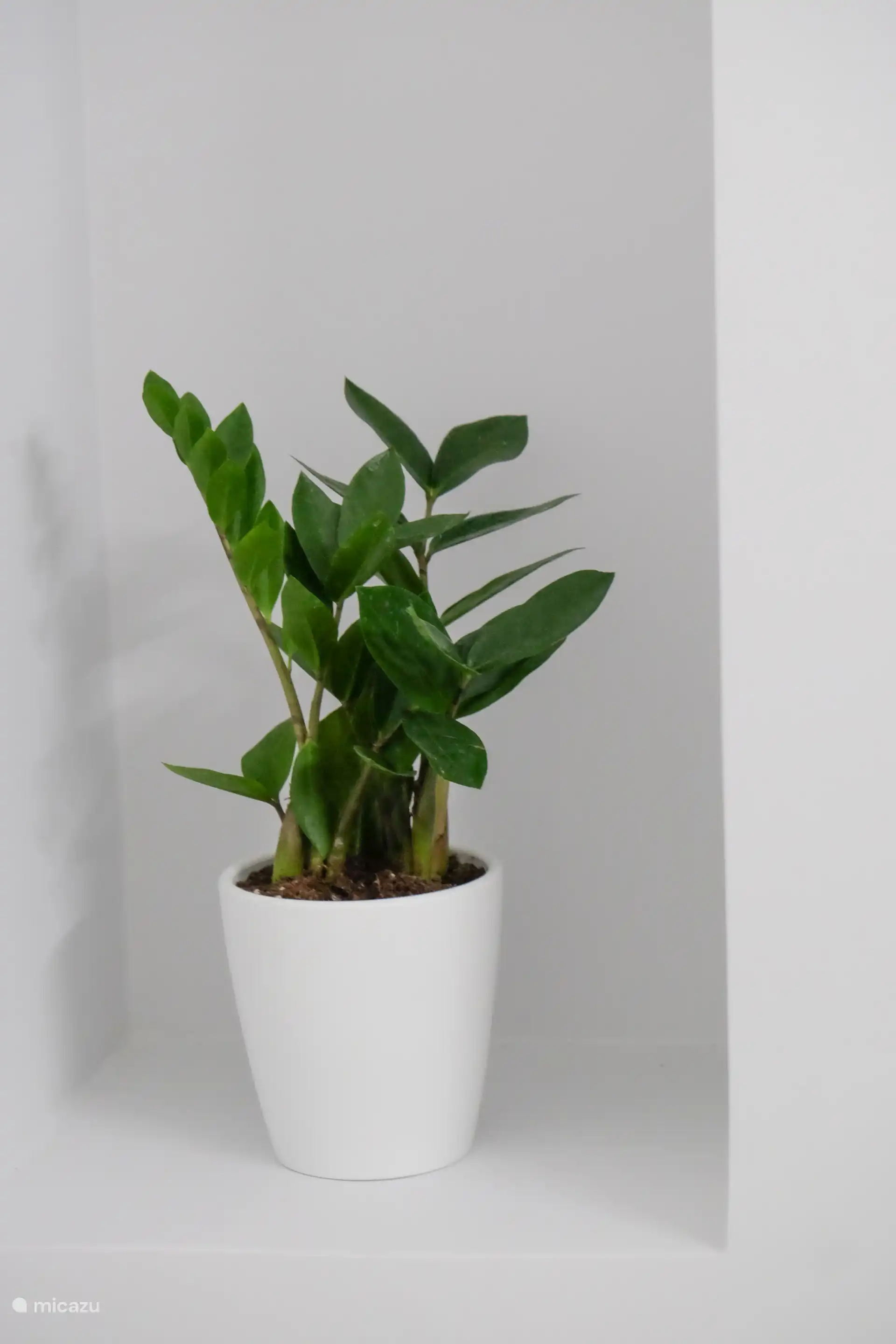 Auch im Badezimmer finden Sie die feinen Details.