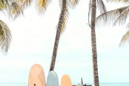 ¡Cosas bonitas en la zona!