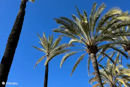 ¡Cosas bonitas en la zona!