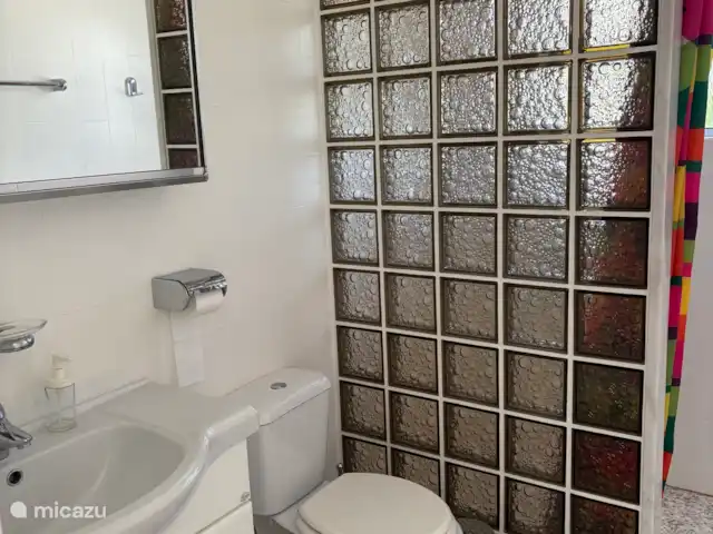 Casa Linda huren in Portugal, Algarve, Lagos - vakantiehuis Grote badkamer