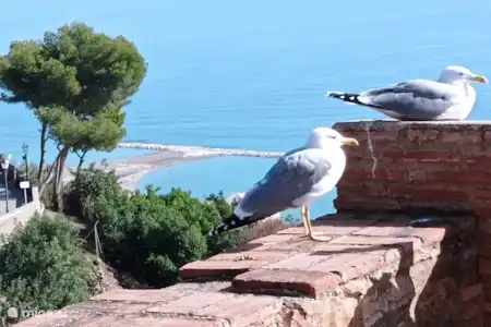 Málaga