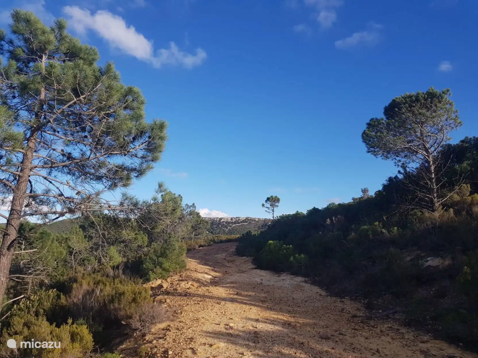 Una de las muchas rutas de senderismo en las inmediaciones