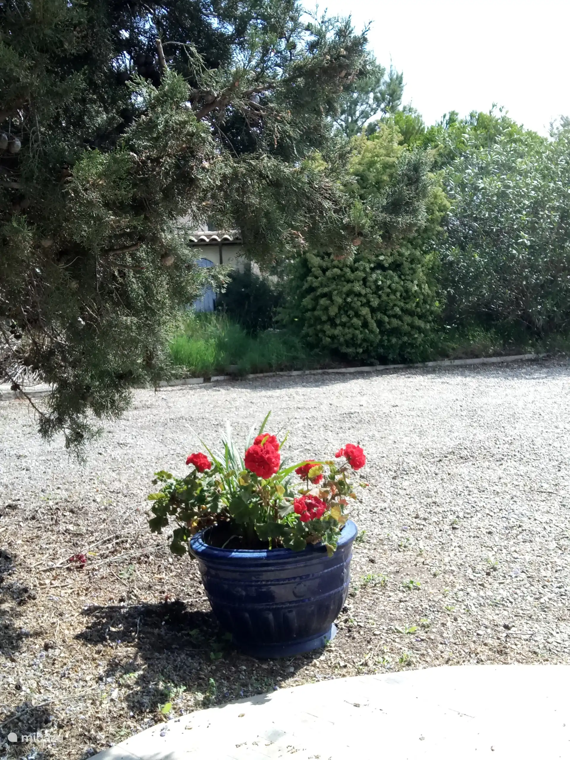 La vista desde la terraza de L'Onida