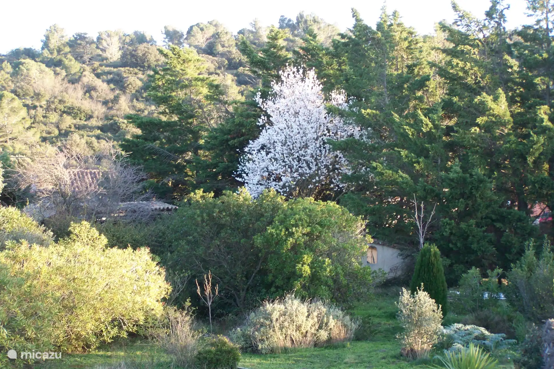 El jardín en primavera.