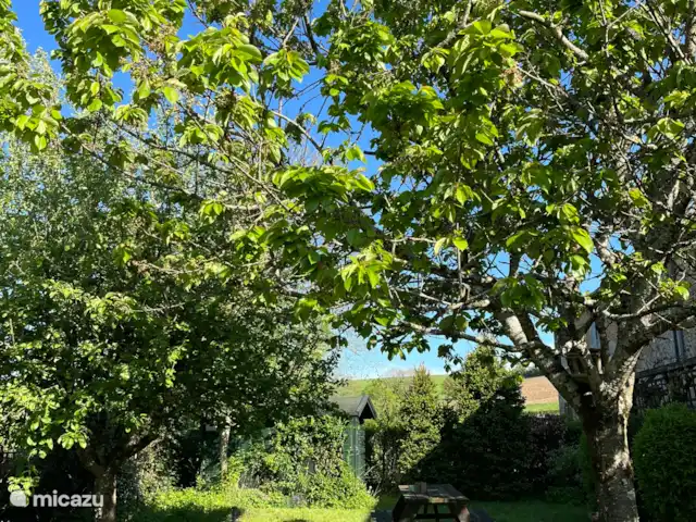 Le Chapeau huren in Frankrijk, Nièvre, Ouroux-en-Morvan - vakantiehuis tuin