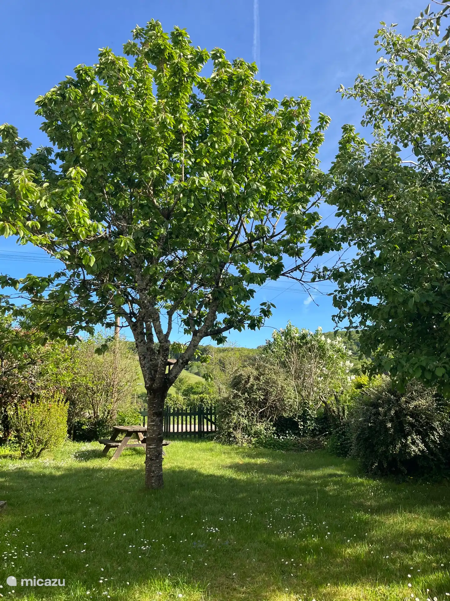 View backyard April 2026
