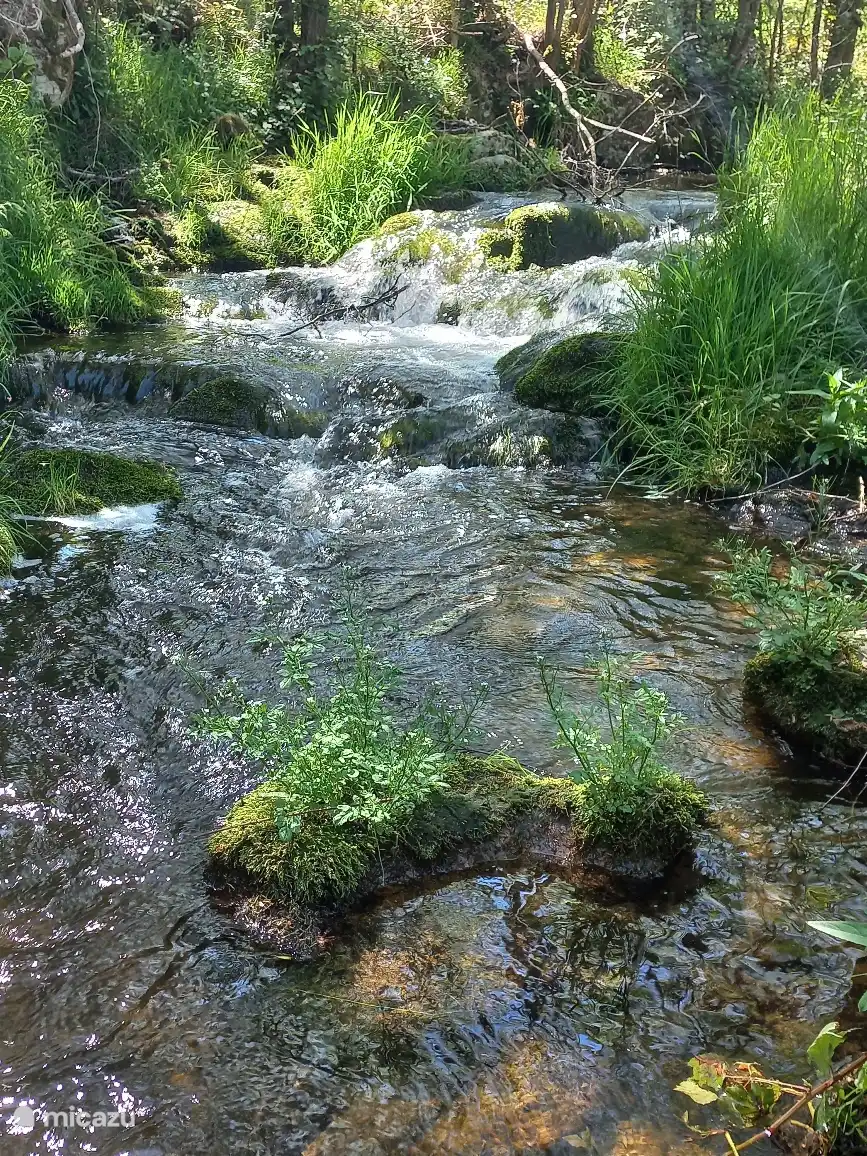 Le Daronne