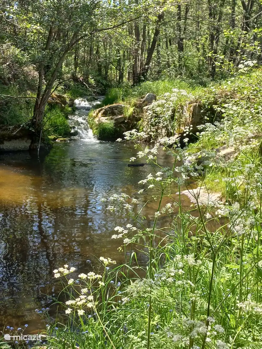 El arroyo Le Daronne