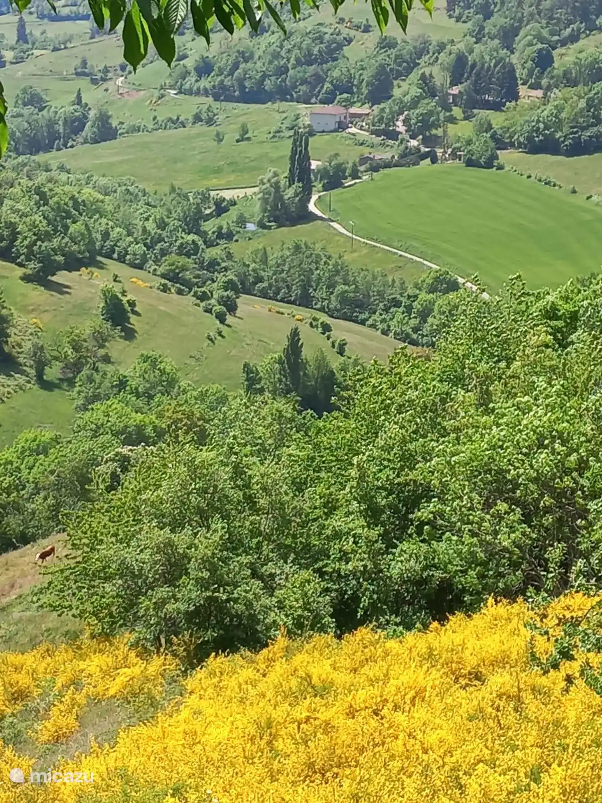 Entorno