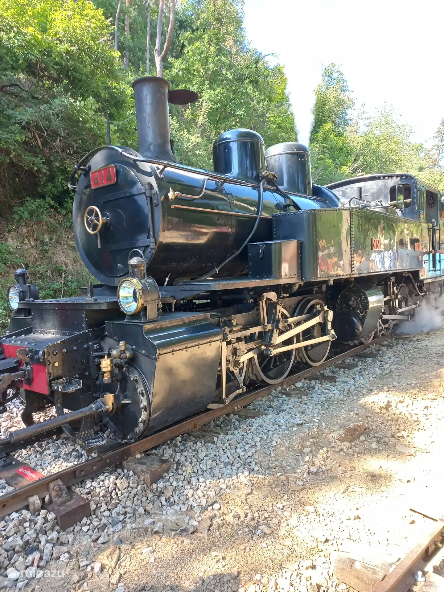 Los trenes están catalogados como monumentos. De Tournon a Lamastre, el tren de 180 toneladas utiliza 800 kg de carbón y 6000 litros de agua. Preparar una locomotora para la salida tarda 3 horas.